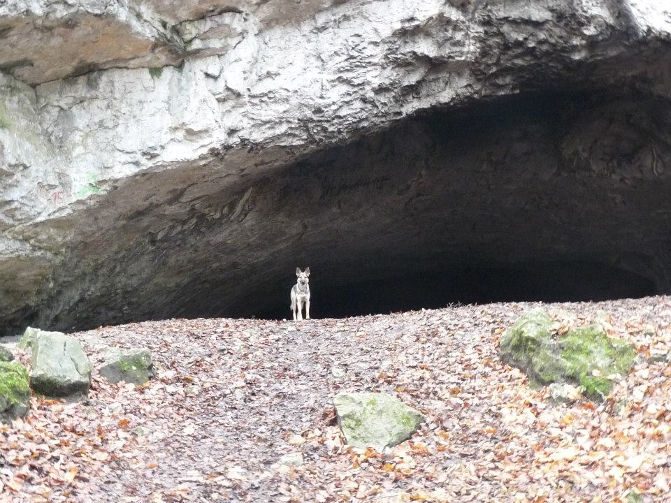 Ve skalách