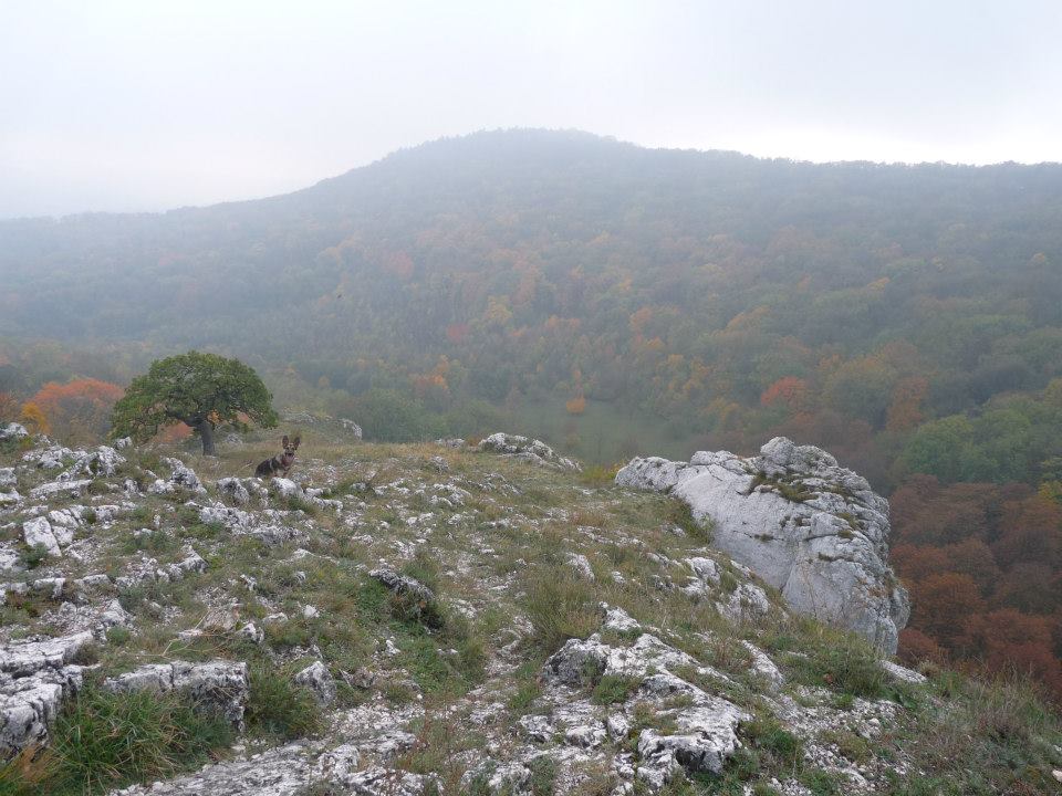 Výlet