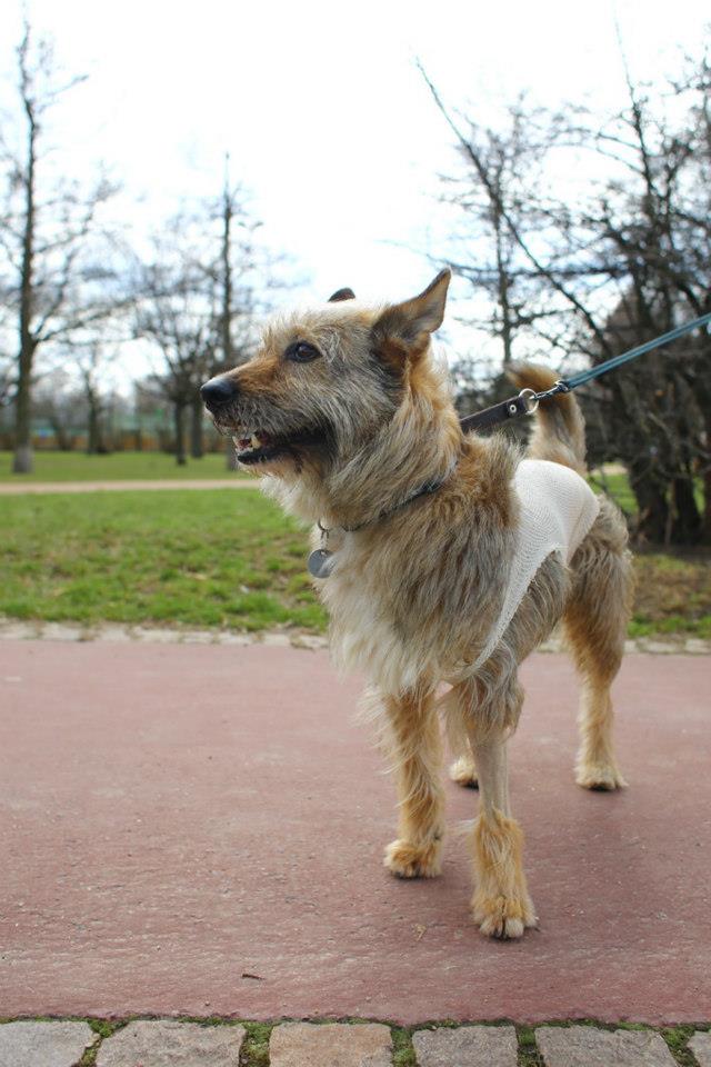 Ája venku