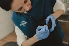 Dentalní hygiena