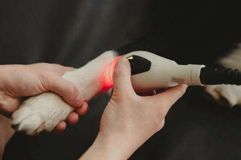 MLS® terapeutický laser